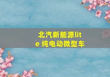 北汽新能源lite 纯电动微型车